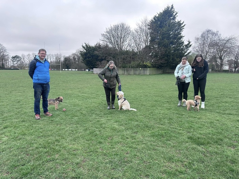 The Recall Trap: Is Your Dogโs Favourite Game Switching Their Ears Off?